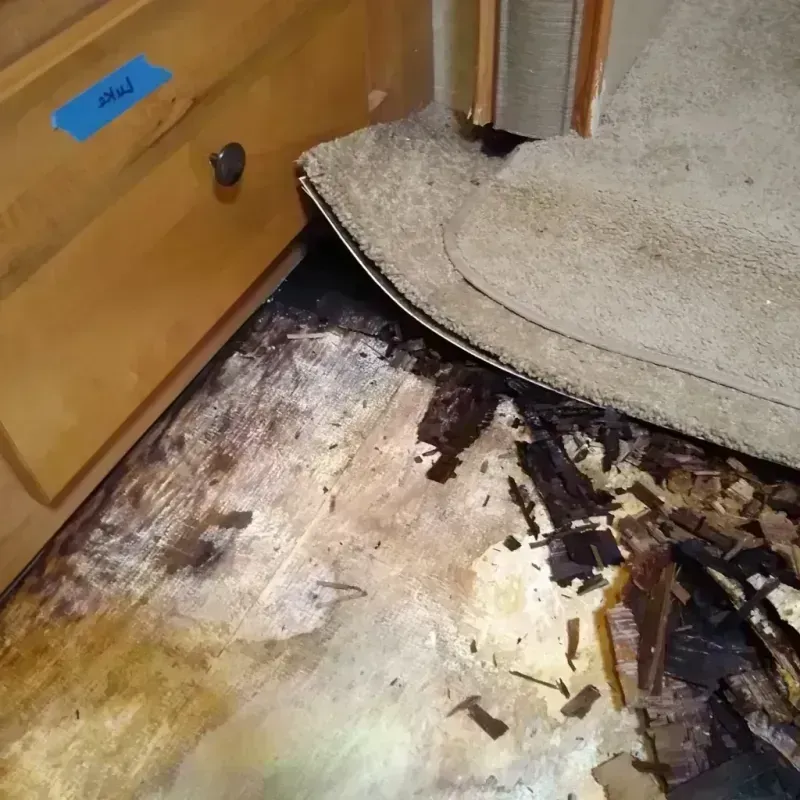 Best Wood Floor Water Damage Service in Beavercreek, OH